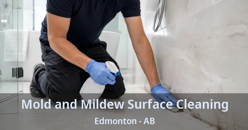 Mold and Mildew Surface Cleaning Edmonton - AB